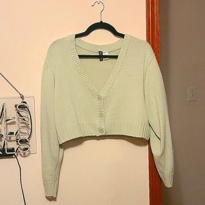 Light Green Cropped Button up Sweater
